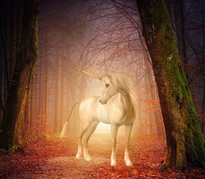 Unicorn Meadows